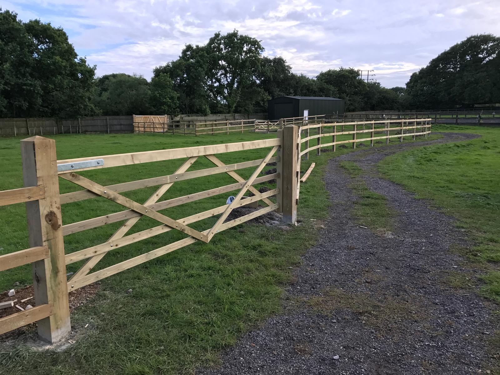Equestrian fencing and gates in Bashley