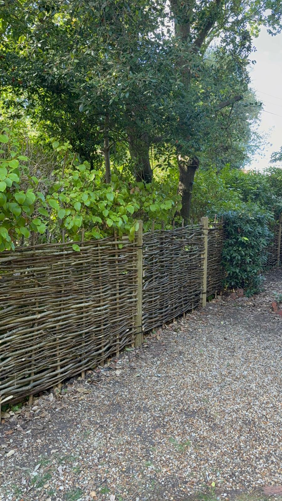 4ft hazel hurdle fence, Milford on Sea
