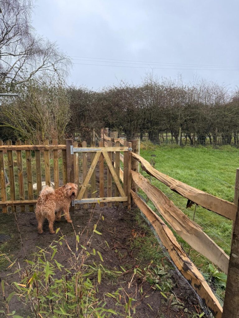 Cleft chestnut hardwood fencing Ringwood