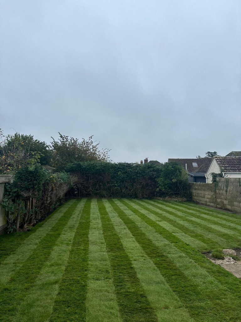 New lawn laid in New Milton