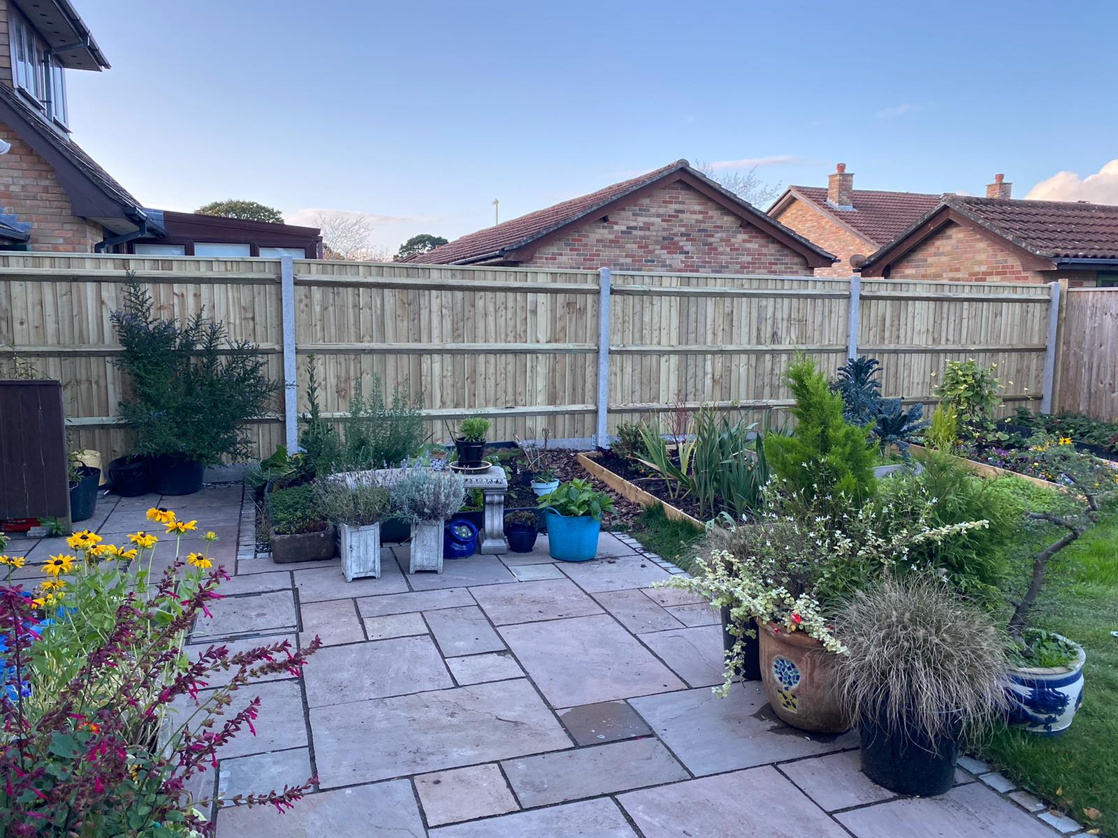 Timber fence and gate at a New Forest property